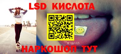 гашик Ярославль