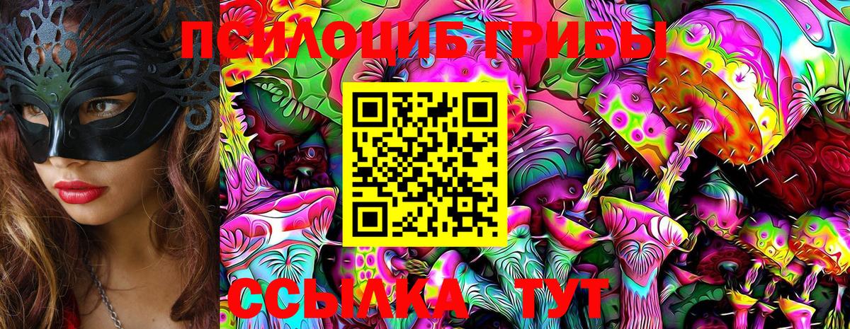 Курчатов  Галлюциногенные грибы прущие грибы  Вход с VPN 